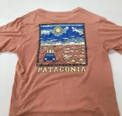 パタゴニア　M's Summit Road Organic T-Shirt