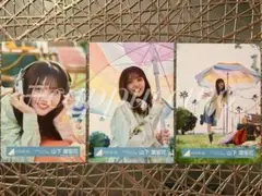 Item thumbnail for item 3fa9887d-40c5-48e5-ab9f-5250e2ebb3d5