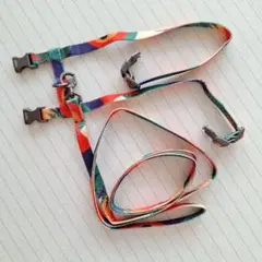 Item thumbnail for item 95b50228-109c-4a3d-b65b-f35b90cd1efc