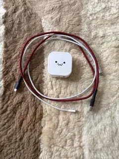ELECOM ACアダプター MPA-ACCP20 ケーブル付き