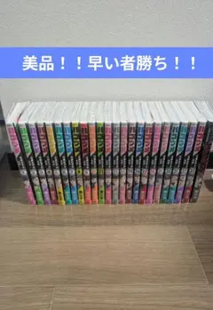 ハコヅメ 全巻+アンボックス 計24巻 セット
