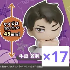ハイキュー!! おねむたん vol.2 牛島若利