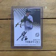 Item thumbnail for item 36291dc5-6a32-4c66-a058-5a62da38f3b0