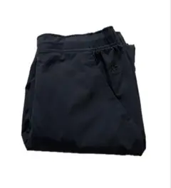 Item thumbnail for item 91594ec5-08a8-432e-a954-d4995aef4d6a