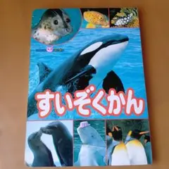 Item thumbnail for item 46f59a19-7409-4b32-8092-e006a514ea9b