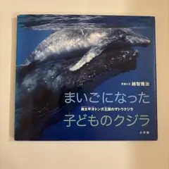 まいごになった子どものクジラ