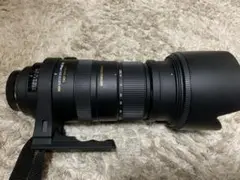 ❁大迫力！超望遠❁SIGMA 50-500mm APO MINOLTA SONY APO 50-500mm F4.5-6.3 DG OS HSM | レンズ | 製品 | Sigma