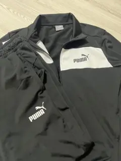 PUMA セットアップ
