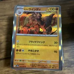 レアのまとめ売り100枚入り