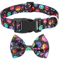 Item thumbnail for item 1d812e09-c68c-449f-b1e6-9d47f6f4d553