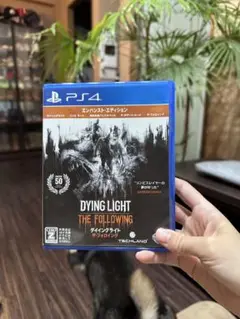 Item thumbnail for item 4da3e3dc-f6f7-424c-bb0d-66a0080ec19d