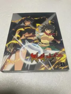 Item thumbnail for item ea5f7331-bb58-401e-9822-d5958f65cc08