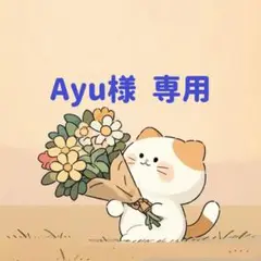 Ayu様　専用(9/1迄)