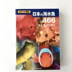 2025年最新】日本産魚類検索の人気アイテム - メルカリ