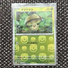ポケモンカード マスターボールミラー タマゲタケ ホワイトフレア ブラックボルト