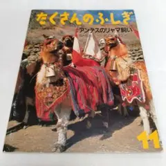 たくさんのふしぎ　アンデスのリャマ飼い