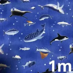 No.229 ⑦【魚柄】コットン100％ シーチング生地　ハギレ　1m
