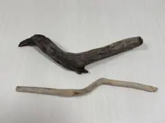 Item thumbnail for item c17484fd-d204-45c3-87b5-f61cb1d10c30
