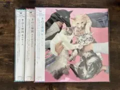 2025年最新】きのこ帝国 レコードの人気アイテム - メルカリ