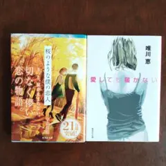 集英社文庫2冊セット　「桜のような僕の恋人」「愛しても届かない」
