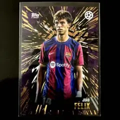 ジョアンフェリックス　直筆サイン　icons サイン付き ジョアン・フェリックス 直筆サイン 2023 Topps Joao Felix