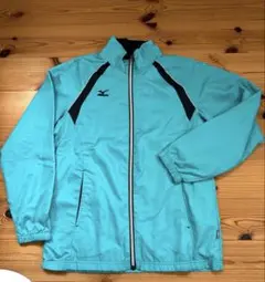 Item thumbnail for item 11cc3810-3913-4ffc-bc4e-8c6b0fbdf007