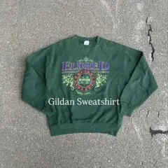 Gildan Eldred Pennsylvania スウェット M