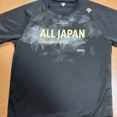 インターハイ　2023 会場限定Tシャツ 全国大会 デサント ALLJAPAN