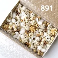木の実と小花　詰め合わせ 891