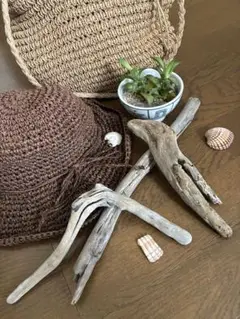#流木3本セット