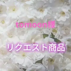 tomoon様 リクエスト 2点 まとめ商品