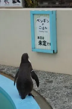 ロールシールおすそ分け‼️まっきい様
