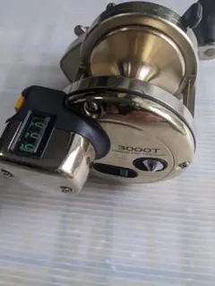 m50280645412_1.jpg?1727336632