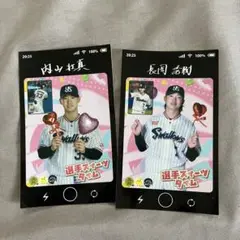 ヤクルト　グルメステッカー