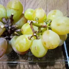専用