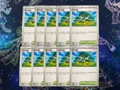 活力の森 9枚