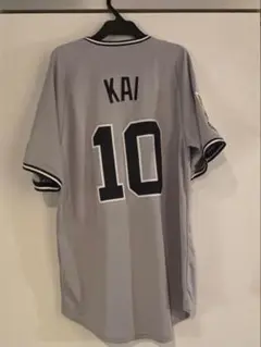 Item thumbnail for item d6a81994-d43d-44a7-899d-eb169840fcdb