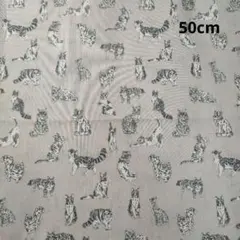 リバティ　タナローン　ミャオウプティ　縮小猫柄　マッシュルーム　50cm