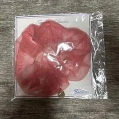 ヤクルトスワローズシュシュ