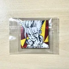 Dr.STONE　石神千空　缶バッジ　非売品　ジャンプ　懸賞　抽選