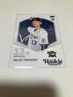 Item thumbnail for item 4f449f33-63fb-40f8-8cd0-fce4354985d1