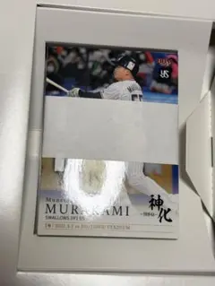 Item thumbnail for item ec93d5db-cd76-463d-9837-2a7c78de6c51