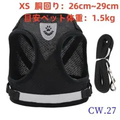 Item thumbnail for item d3493533-ba99-4e26-accc-45379b691db8
