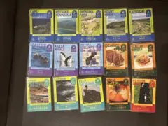 Item thumbnail for item 06527b6b-dcf2-4f8c-b4db-bd8bb256c6b5