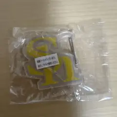 パリーグカラビナキーホルダー　ソフトバンク
