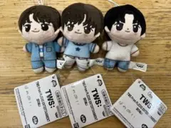 TWS トゥアス　ほわぬい　3点セット