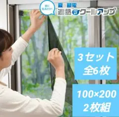 【視線も熱もシャットアウト】セキスイ　遮熱クールアップ　2枚組×3セット