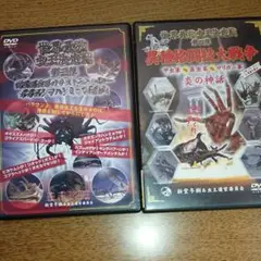 DVD 世界最強虫王決定戦 第三弾 第四弾 2枚セット