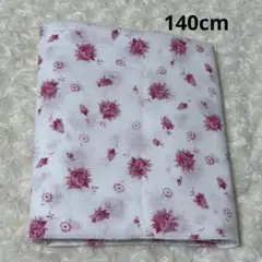 Item thumbnail for item 3c174707-463c-4a7c-a92f-f5ead1923594