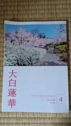 大白蓮華　昭和41年（1966） 1月〜12月号、11冊セット 大白蓮華 昭和41年（1966） 1月〜12月号、11冊セット